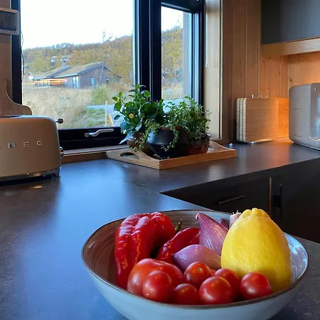 Mountain At Bergsjoen With Panoramic Views Casa vacanze *