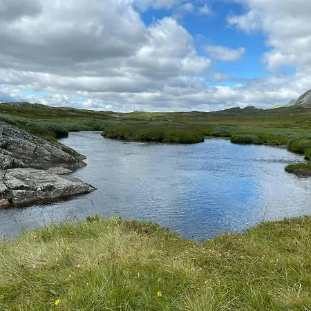 Mountain At Bergsjoen With Panoramic Views * Ål