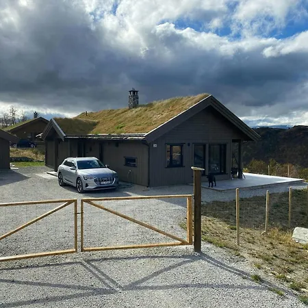 Mountain At Bergsjoen With Panoramic Views * Ål