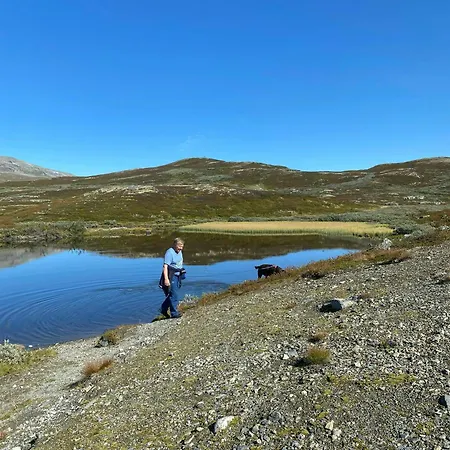 Mountain At Bergsjoen With Panoramic Views *