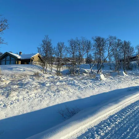 Casa de Férias Mountain At Bergsjoen With Panoramic Views Ål