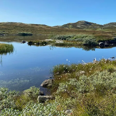 Mountain At Bergsjoen With Panoramic Views Casa de Férias Ål