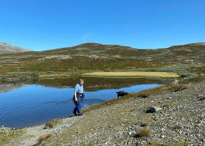 Mountain At Bergsjoen With Panoramic Views *